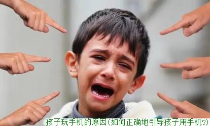 孩子玩手机的原因(如何正确地引导孩子用手机?)