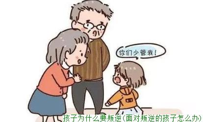 孩子为什么要叛逆(面对叛逆的孩子怎么办)