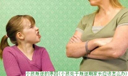 小孩叛逆的原因(小孩处于叛逆期家长应该怎么办)
