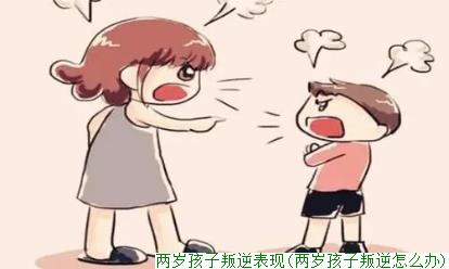 两岁孩子叛逆表现(两岁孩子叛逆怎么办)