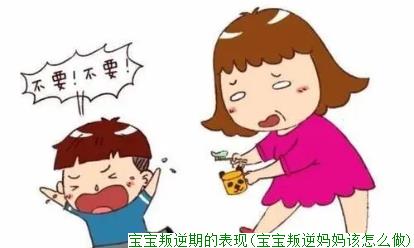 宝宝叛逆期的表现(宝宝叛逆妈妈该怎么做)