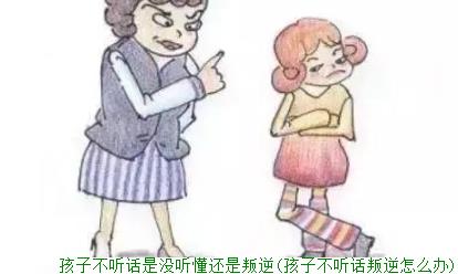 孩子不听话是没听懂还是叛逆(孩子不听话叛逆怎么办)