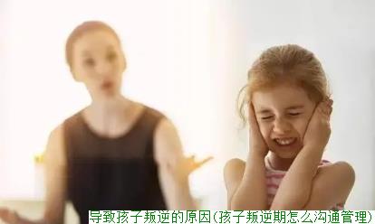 导致孩子叛逆的原因(孩子叛逆期怎么沟通管理)