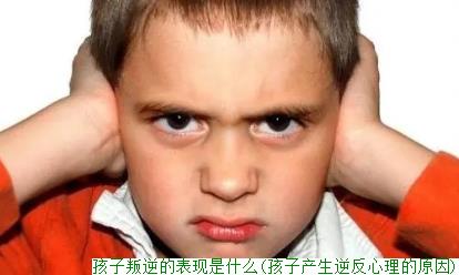 孩子叛逆的表现是什么(孩子产生逆反心理的原因)