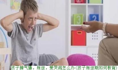 孩子脾气犟，叛逆，爱哭闹怎么办(孩子叛逆期如何教育)