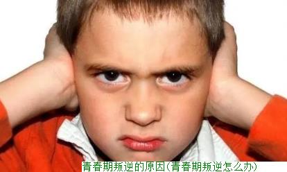 青春期叛逆的原因(青春期叛逆怎么办)     