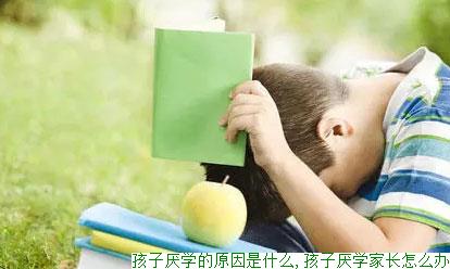 孩子厌学的原因是什么,孩子厌学家长怎么办