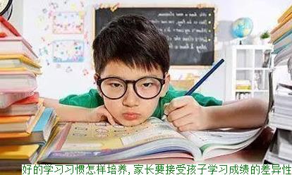好的学习习惯怎样培养,家长要接受孩子学习成绩的差异性