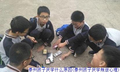 泰州孩子厌学什么原因(泰州孩子厌学叛逆心理)