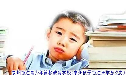 泰州叛逆青少年管教教育学校(泰州孩子叛逆厌学怎么办)