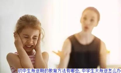初中生叛逆期的教育方法有哪些,中学生太叛逆怎么办