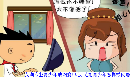 芜湖专业青少年戒网瘾中心,芜湖青少年怎样戒网瘾