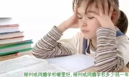郴州戒网瘾学校哪里好,郴州戒网瘾学校多少钱一年