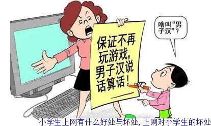 小学生上网有什么好处与坏处,上网对小学生的坏处