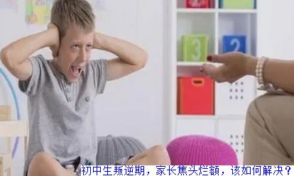 初中生叛逆期，家长焦头烂额，该如何解决？