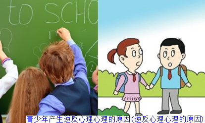青少年产生逆反心理心理的原因(逆反心理心理的原因)