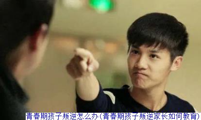 青春期孩子叛逆怎么办(青春期孩子叛逆家长如何教育)