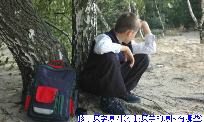 孩子厌学原因(小孩厌学的原因有哪些)