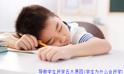 导致学生厌学五大原因(学生为什么会厌学)