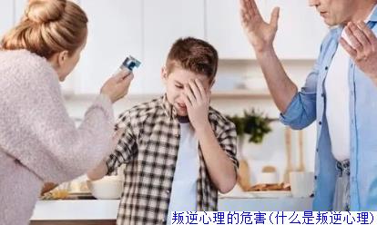 叛逆心理的危害(什么是叛逆心理)