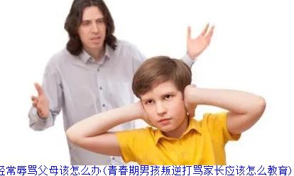 青春期男孩子叛逆现象严重还经常辱骂父母该怎么办(青春期男孩叛逆打骂家长应该怎么教育)