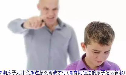 青春期孩子为什么叛逆怎么管教才行(青春期叛逆的孩子怎么管教)