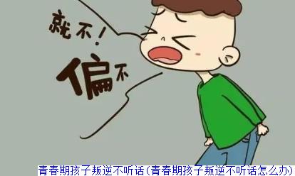 青春期孩子叛逆不听话(青春期孩子叛逆不听话怎么办)