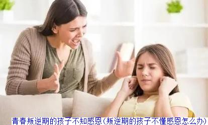 青春叛逆期的孩子不知感恩(叛逆期的孩子不懂感恩怎么办)