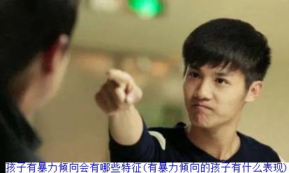 孩子有暴力倾向会有哪些特征(有暴力倾向的孩子有什么表现)