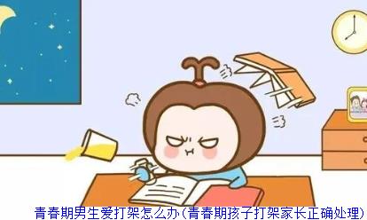 青春期男生爱打架怎么办(青春期孩子打架家长正确处理)