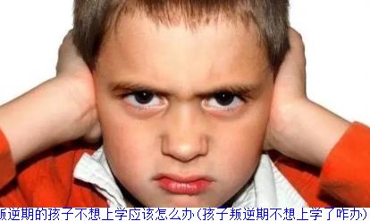 叛逆期的孩子不想上学应该怎么办(孩子叛逆期不想上学了咋办)