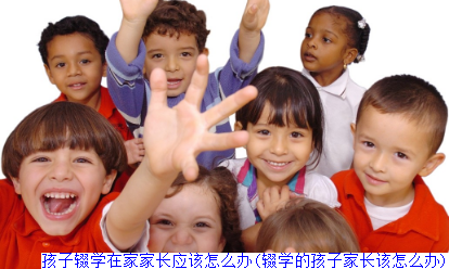 孩子辍学在家家长应该怎么办(辍学的孩子家长该怎么办)