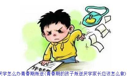 ​孩子厌学怎么办青春期叛逆(青春期的孩子叛逆厌学家长应该怎么做)