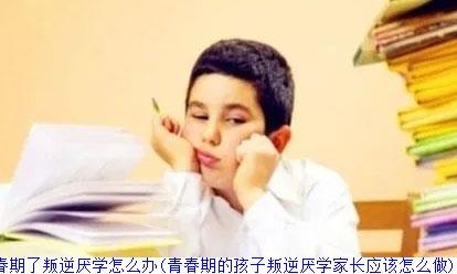 孩子青春期了叛逆厌学怎么办(青春期的孩子叛逆厌学家长应该怎么做)