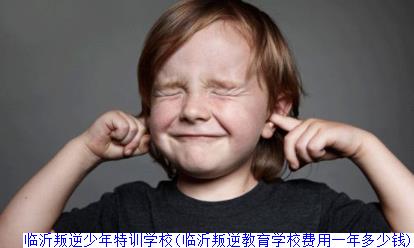 临沂叛逆少年特训学校(临沂叛逆教育学校费用一年多少钱) 临沂叛逆少年特训学校(临沂叛逆教育学校费用一年多少钱)