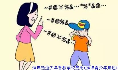 蚌埠叛逆少年管教学校费用(蚌埠青少年叛逆)