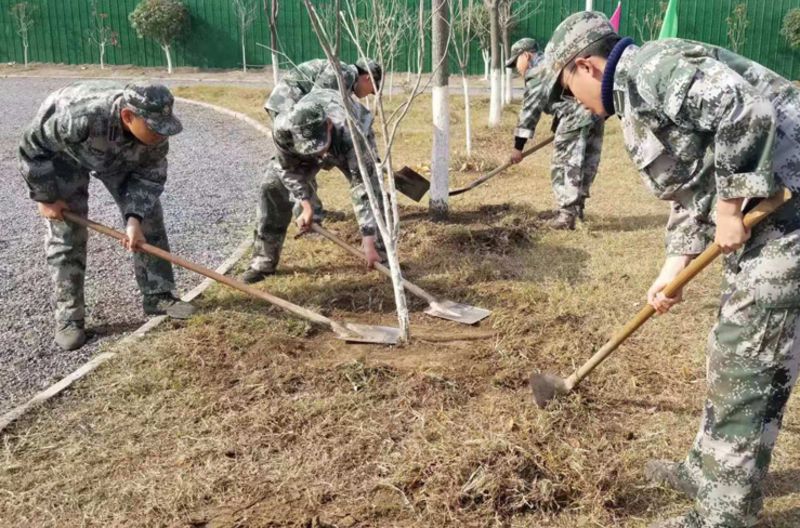 户外种植体验(户外种植体验课程)