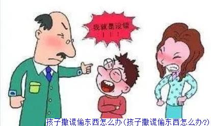 孩子撒谎偷东西怎么办(孩子撒谎偷东西怎么办?)