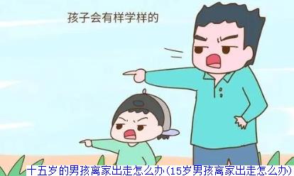 十五岁的男孩离家出走怎么办(15岁男孩离家出走怎么办)