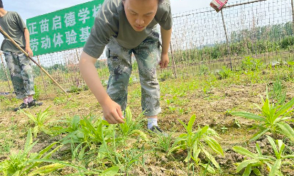 不当的家庭教育会导致青少年心理脆弱吗(家庭教育对青少年心理健康的影响)(图1)