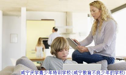 咸宁厌学青少年特训学校(咸宁教育不良少年的学校)