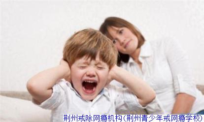 荆州戒除网瘾机构(荆州青少年戒网瘾学校)
