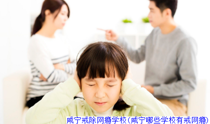 咸宁戒除网瘾学校(咸宁哪些学校有戒网瘾)
