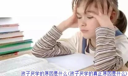 孩子厌学的原因是什么(孩子厌学的真正原因是什么)