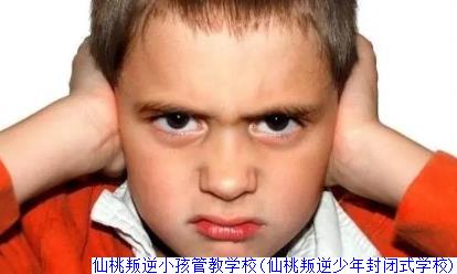 仙桃叛逆小孩管教学校(仙桃叛逆少年封闭式学校)