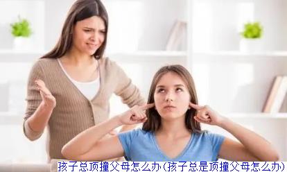 孩子总顶撞父母怎么办(孩子总是顶撞父母怎么办)