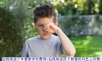 仙桃叛逆少年管教学校费用(仙桃叛逆孩子教育机构怎么收费)