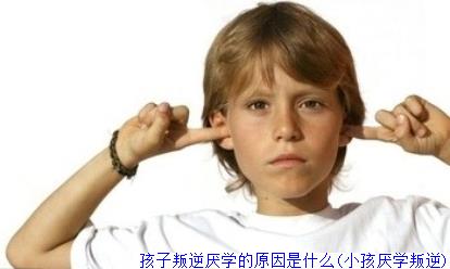 孩子叛逆厌学的原因是什么(小孩厌学叛逆)
