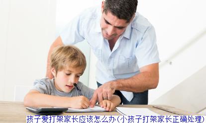 孩子爱打架家长应该怎么办(小孩子打架家长正确处理)