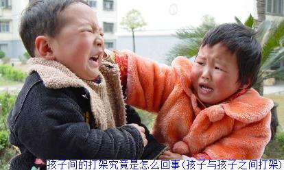 孩子间的打架究竟是怎么回事(孩子与孩子之间打架)